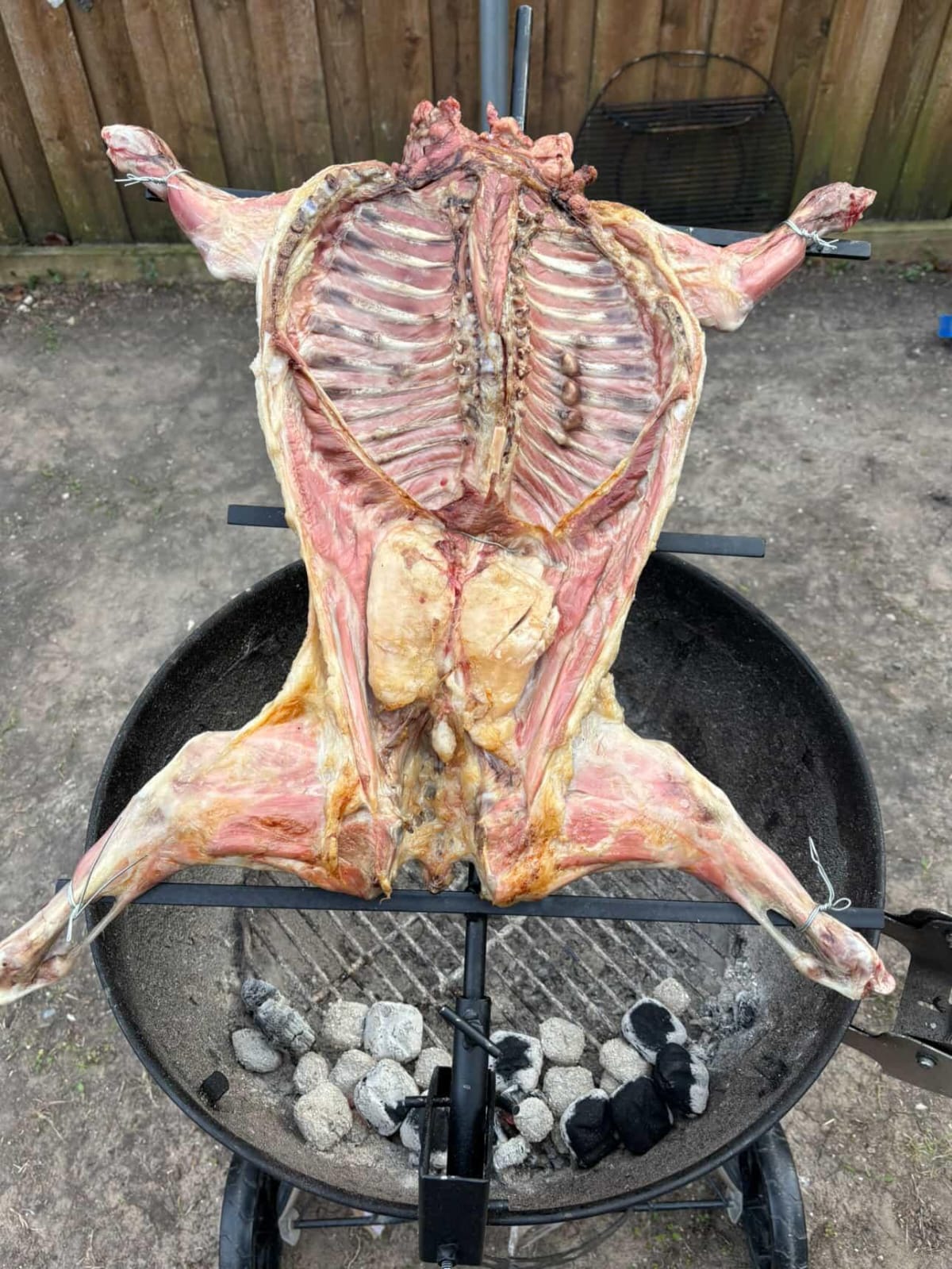 Cabrito congelado al vacío