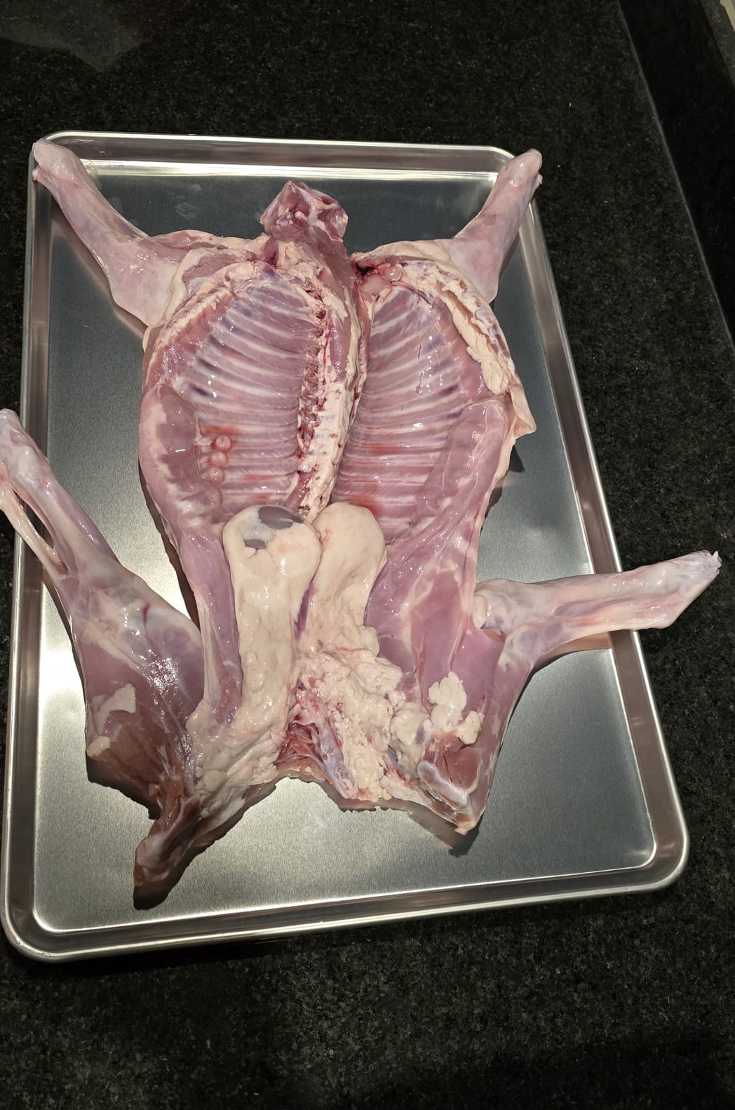 Cabrito congelado al vacío